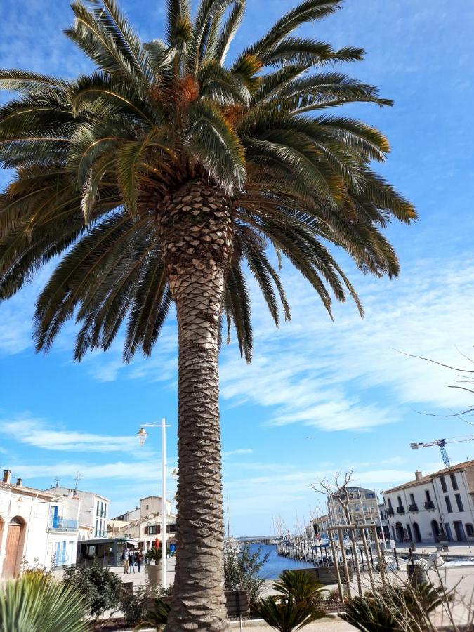 Appartement De Charme Sur Le Port De Marseillan Buitenkant foto