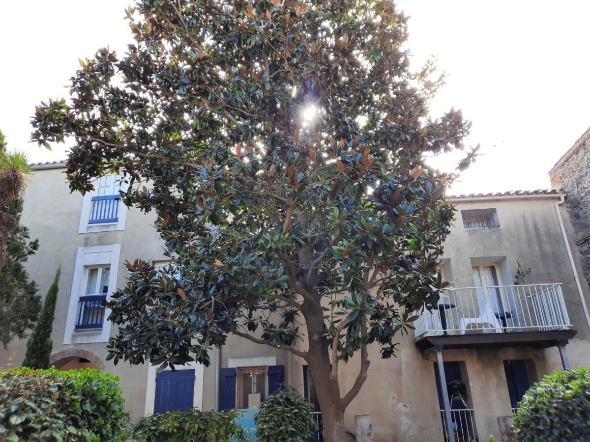Appartement De Charme Sur Le Port De Marseillan Buitenkant foto